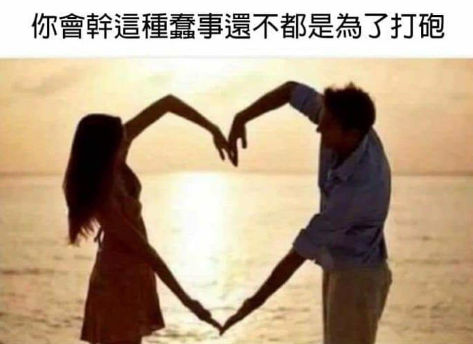 sdffgdsfg